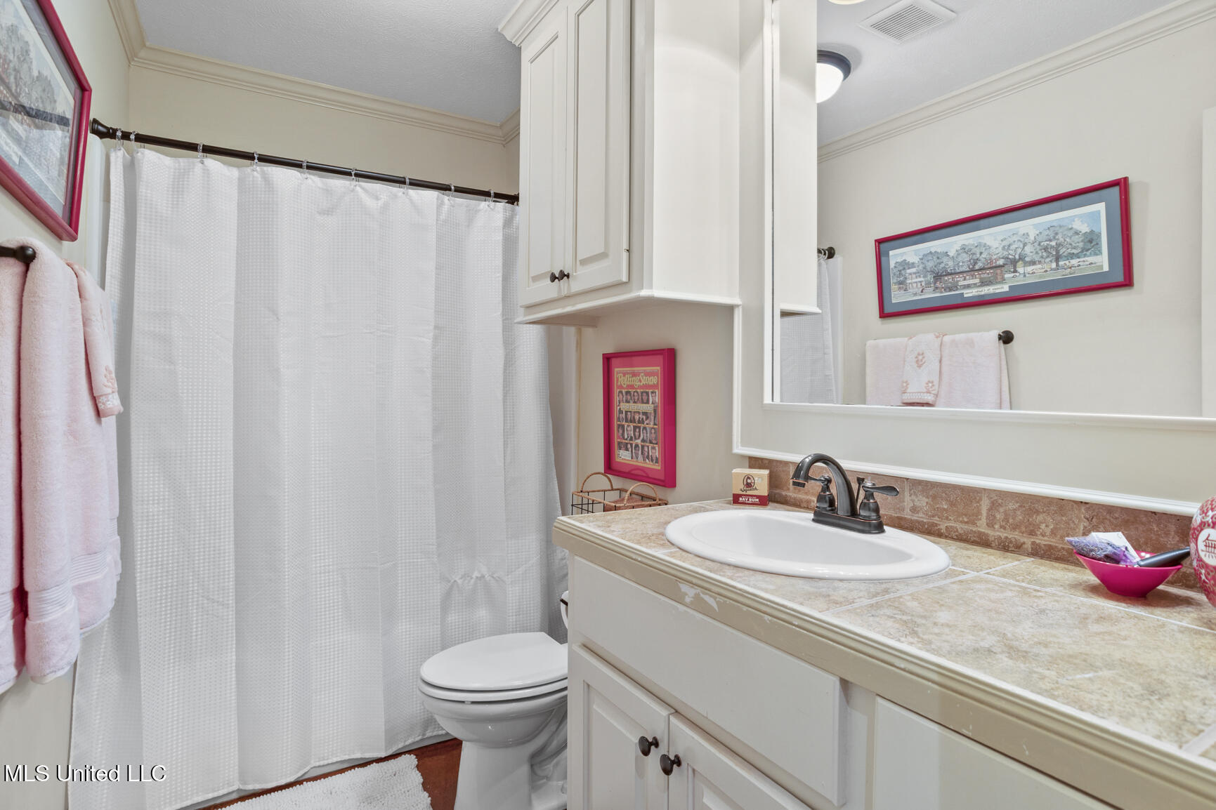 233 Rockbridge Drive Madison, MS 39110 - Photo 16 of 29 233 Rockbridge-19