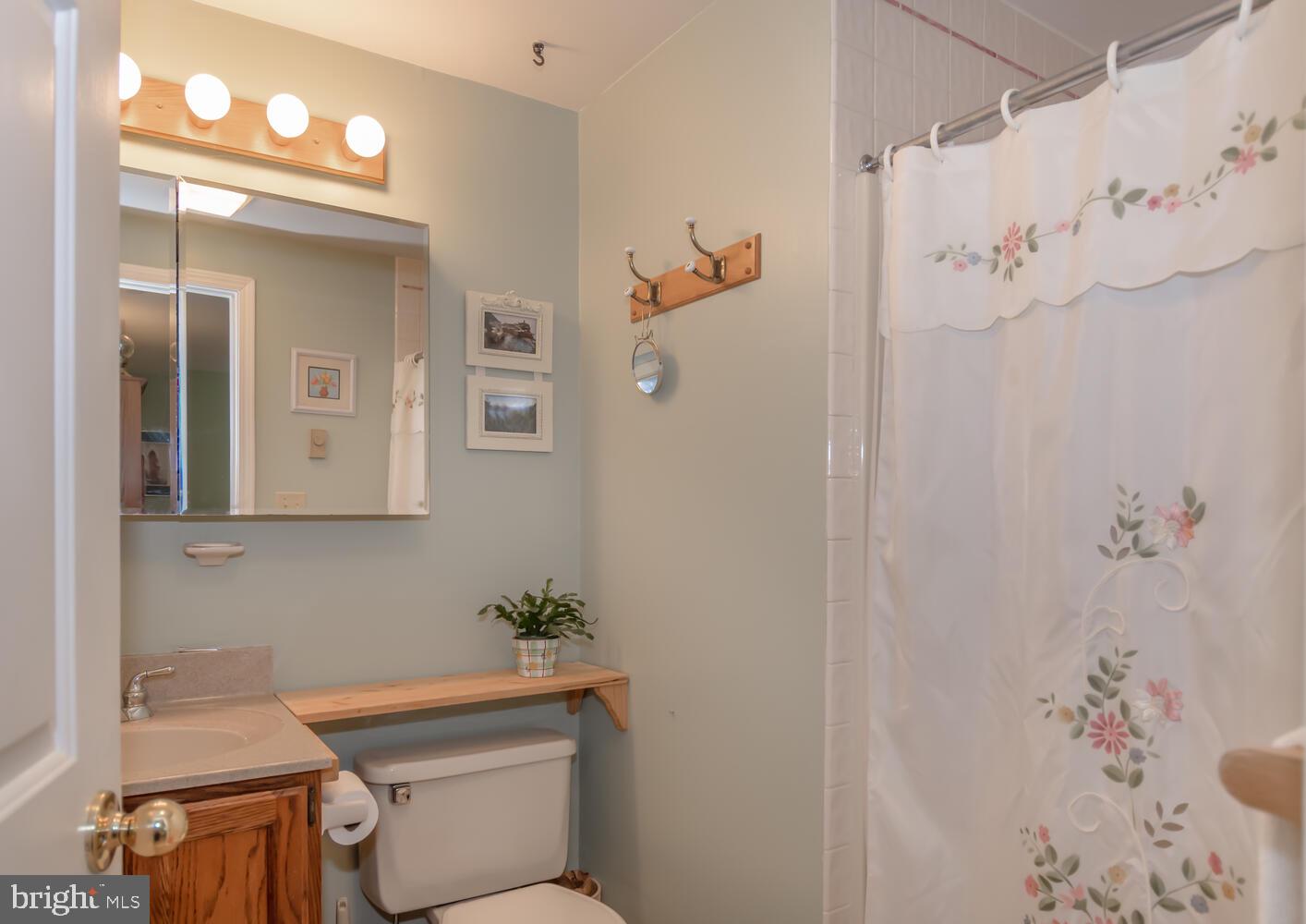123 Parma Road Chestertown, MD 21620 - Photo 15 of 32 Master Bathroom