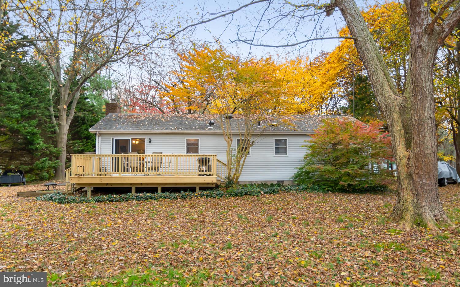 123 Parma Road Chestertown, MD 21620 - Photo 23 of 32 Yard looking to house