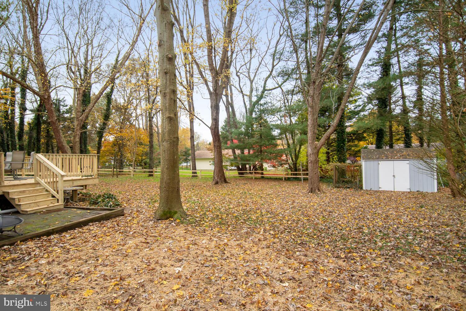 123 Parma Road Chestertown, MD 21620 - Photo 25 of 32 Yard with Shed