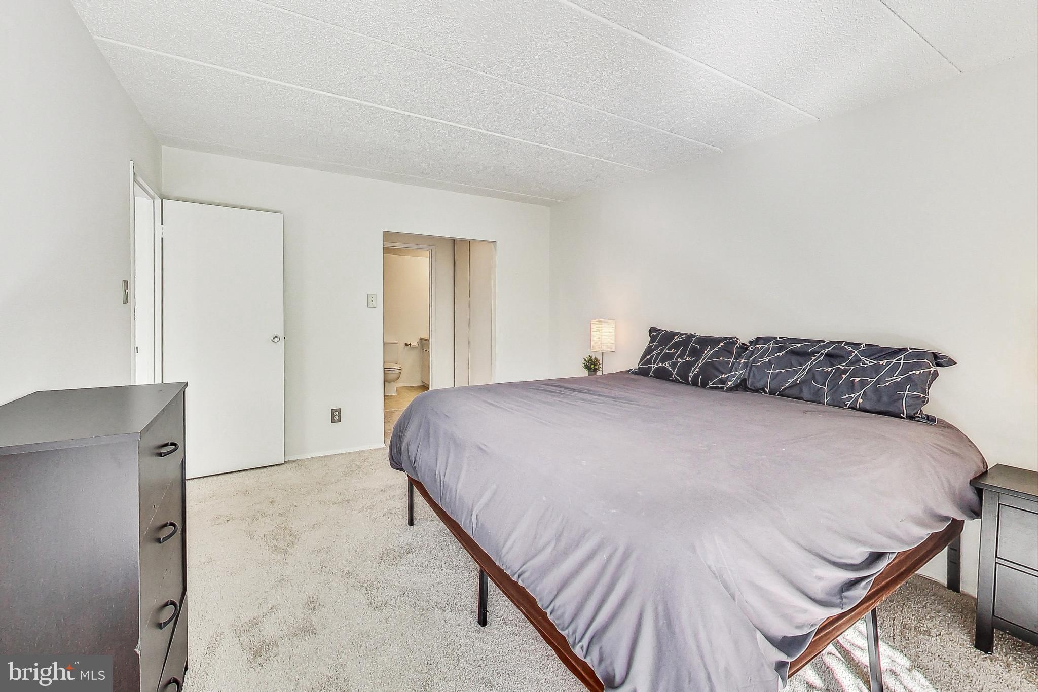 2120 Green Watch Way, Unit 201 Reston, VA 20191 - Photo 15 of 51 Primary Bedroom with an Ensuite Full Bathroom