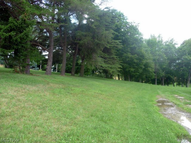 14343 Freedom Road Kimbolton, OH 43749 - Photo 19 of 20 Gallery Image 19