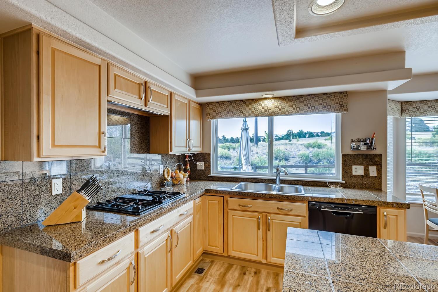 2627 West Bitterroot Place Highlands Ranch, CO 80129 - Photo 10 of 28