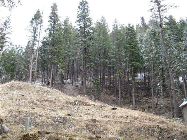 60660 Umatilla Road Joseph, OR 97846 - Photo 12 of 16 Gallery Image 12