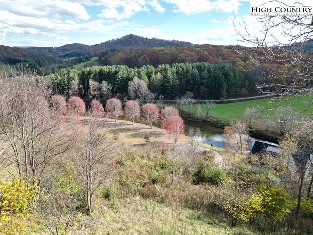 a view of a back yard