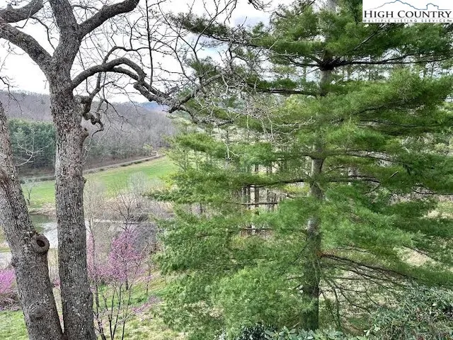 a backyard of a house with lots of green space and lake view