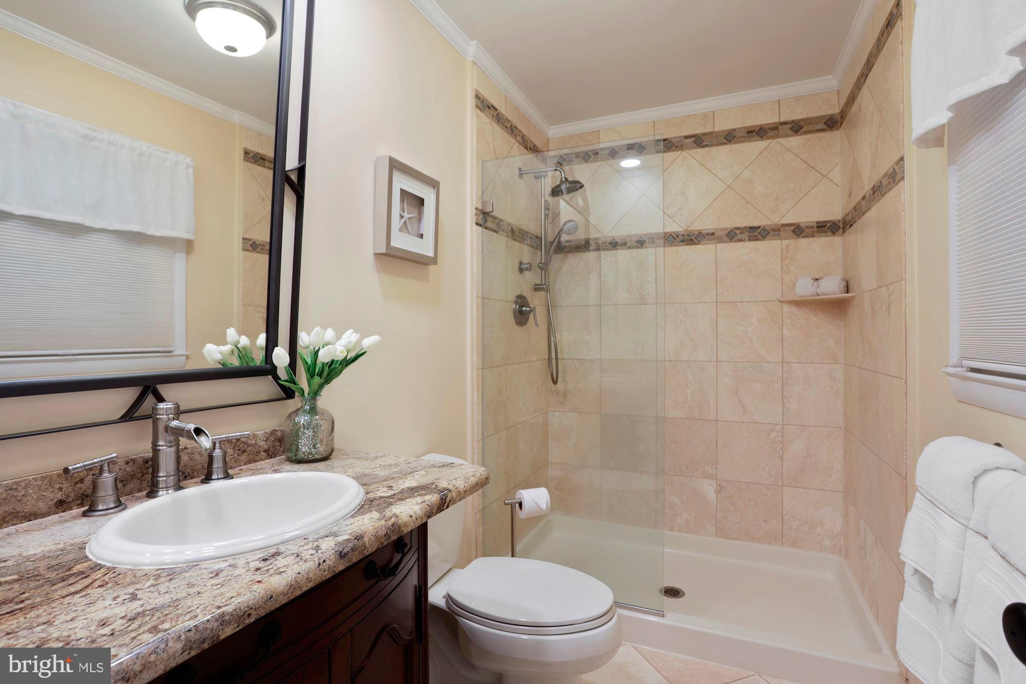 702 Appomattox Road West Davidsonville, MD 21035 - Photo 21 of 45 Owners Bathroom