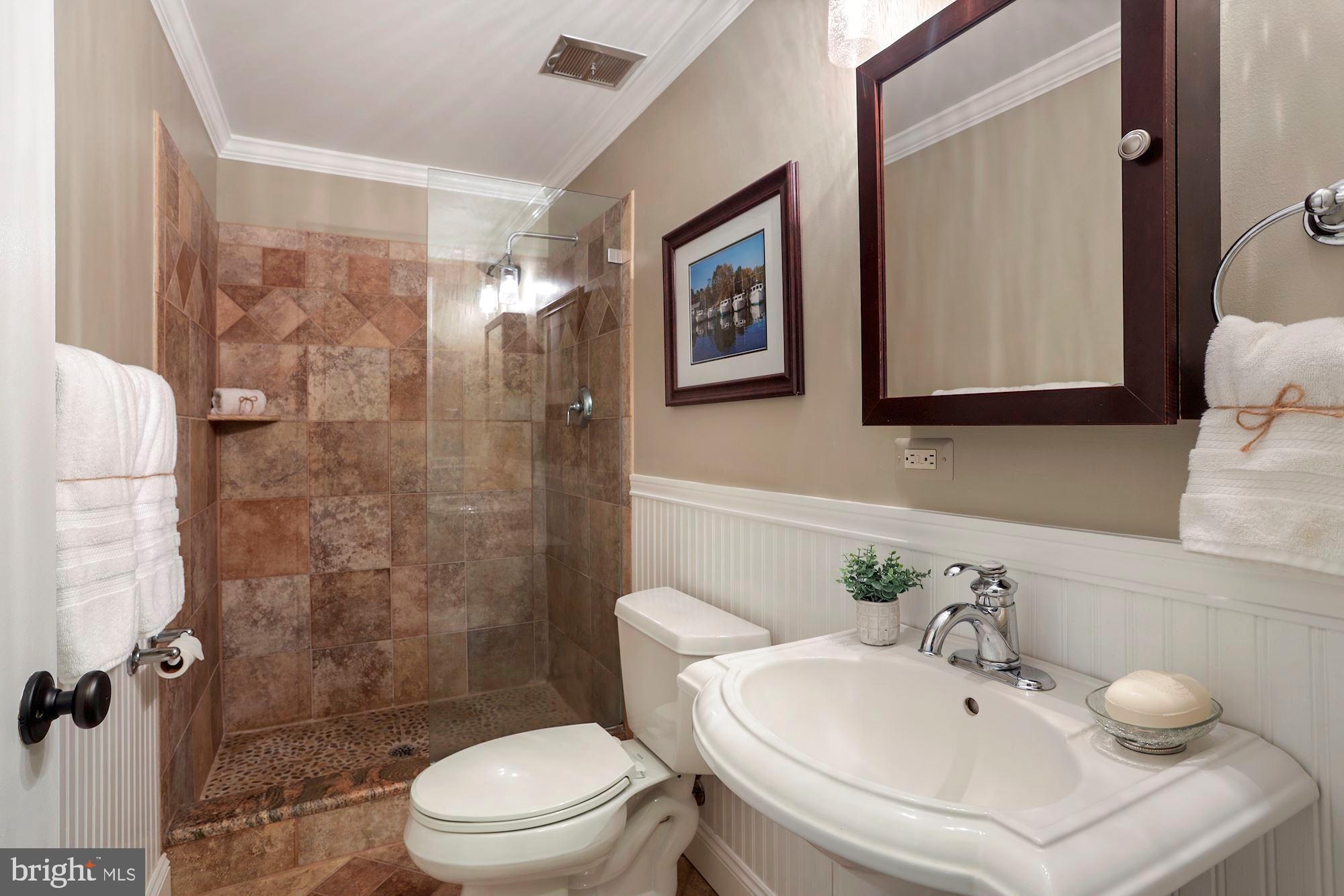 702 Appomattox Road West Davidsonville, MD 21035 - Photo 32 of 45 Lower Level Full Bath