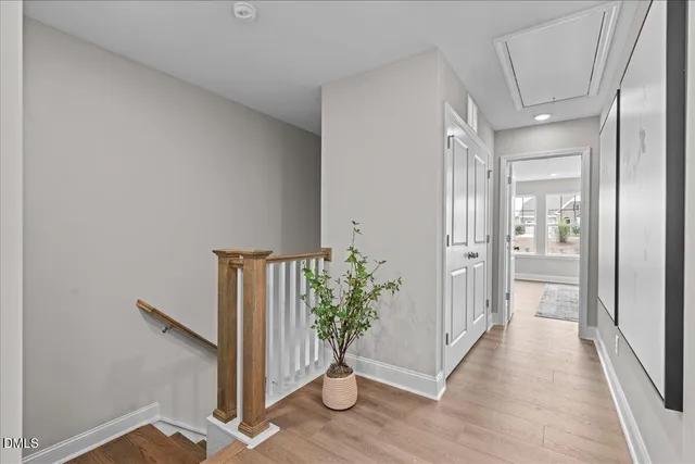 a view of a hallway with wooden floor and a potted plant