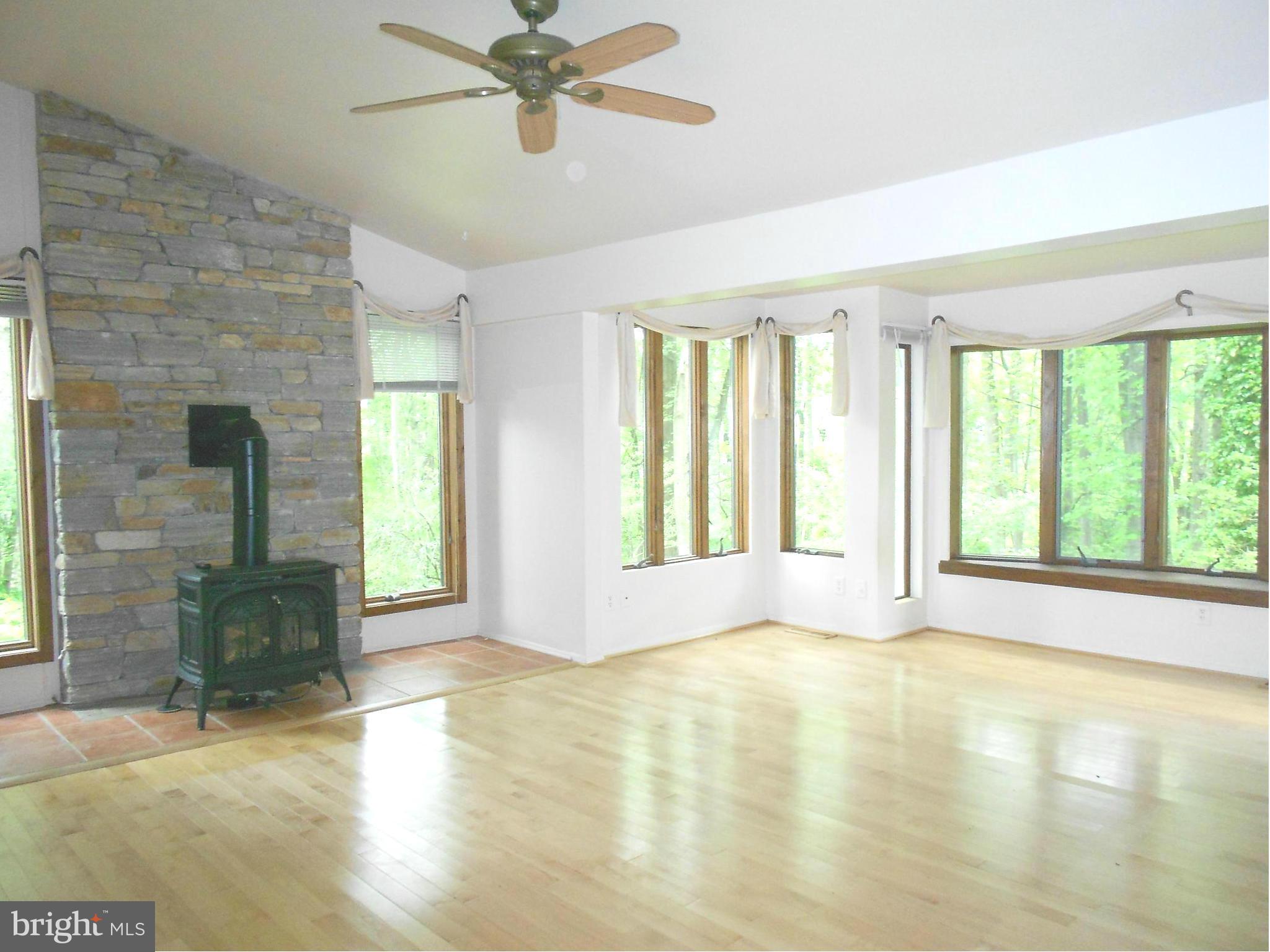 13712 Princess Anne Way Phoenix, MD 21131 - Photo 2 of 23 Free standing gas fireplace