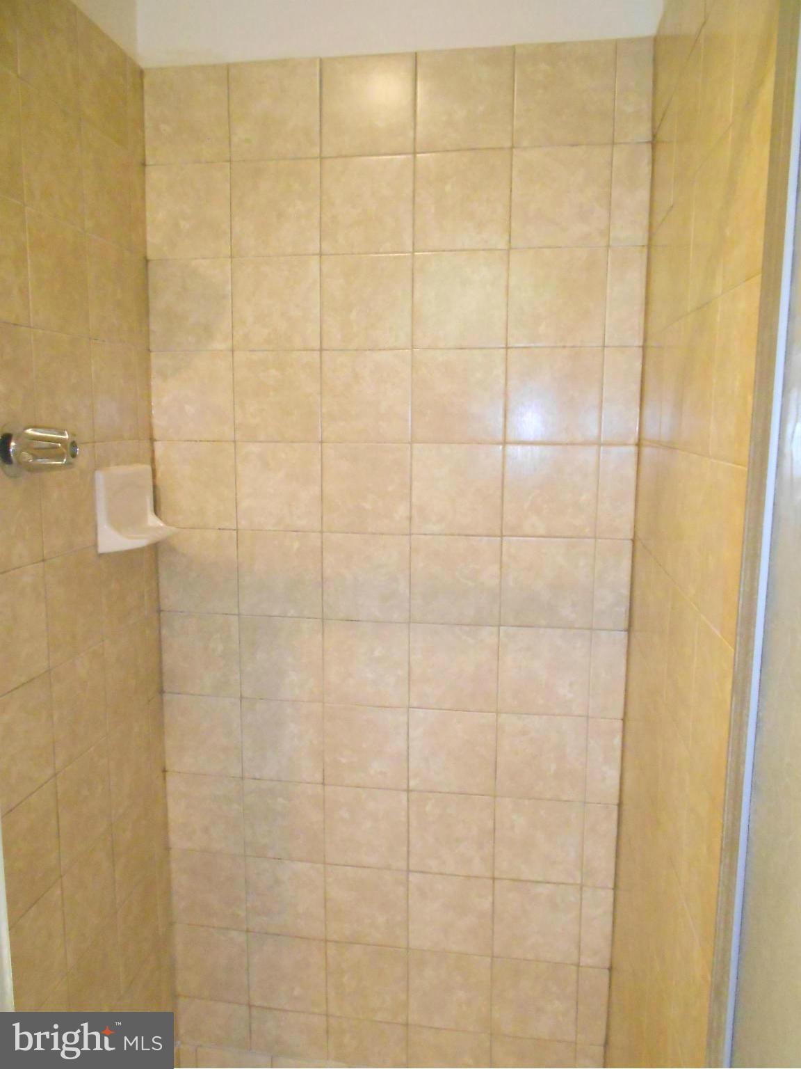 13712 Princess Anne Way Phoenix, MD 21131 - Photo 12 of 23 Ceramic shower