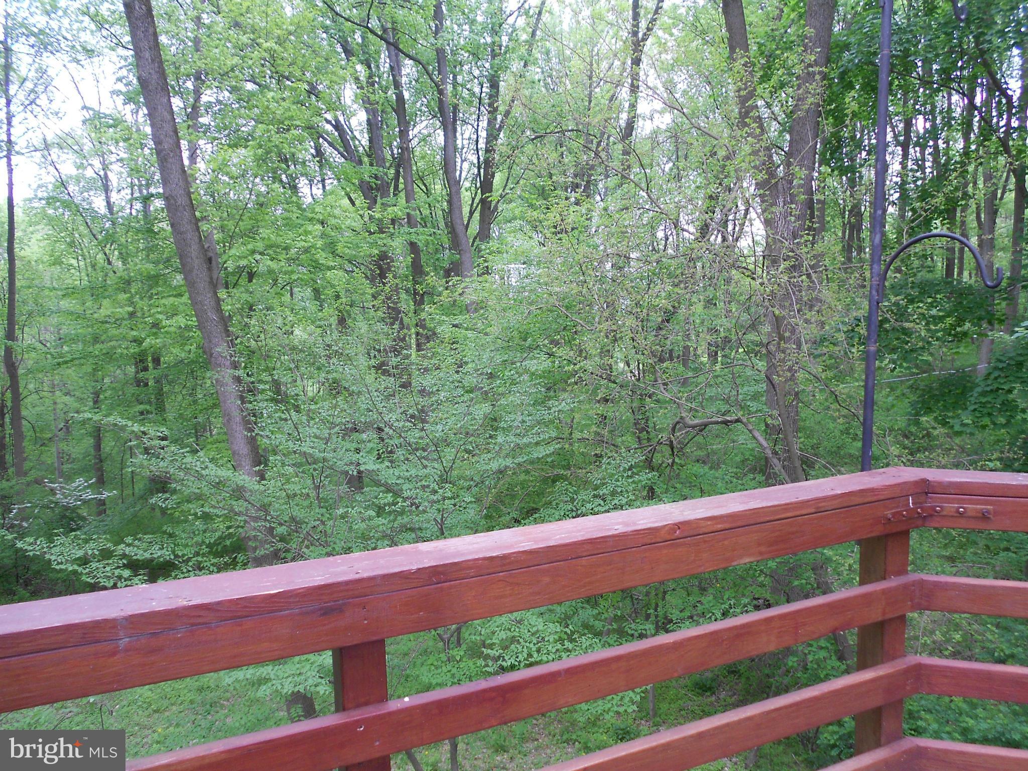13712 Princess Anne Way Phoenix, MD 21131 - Photo 17 of 23 View from deck