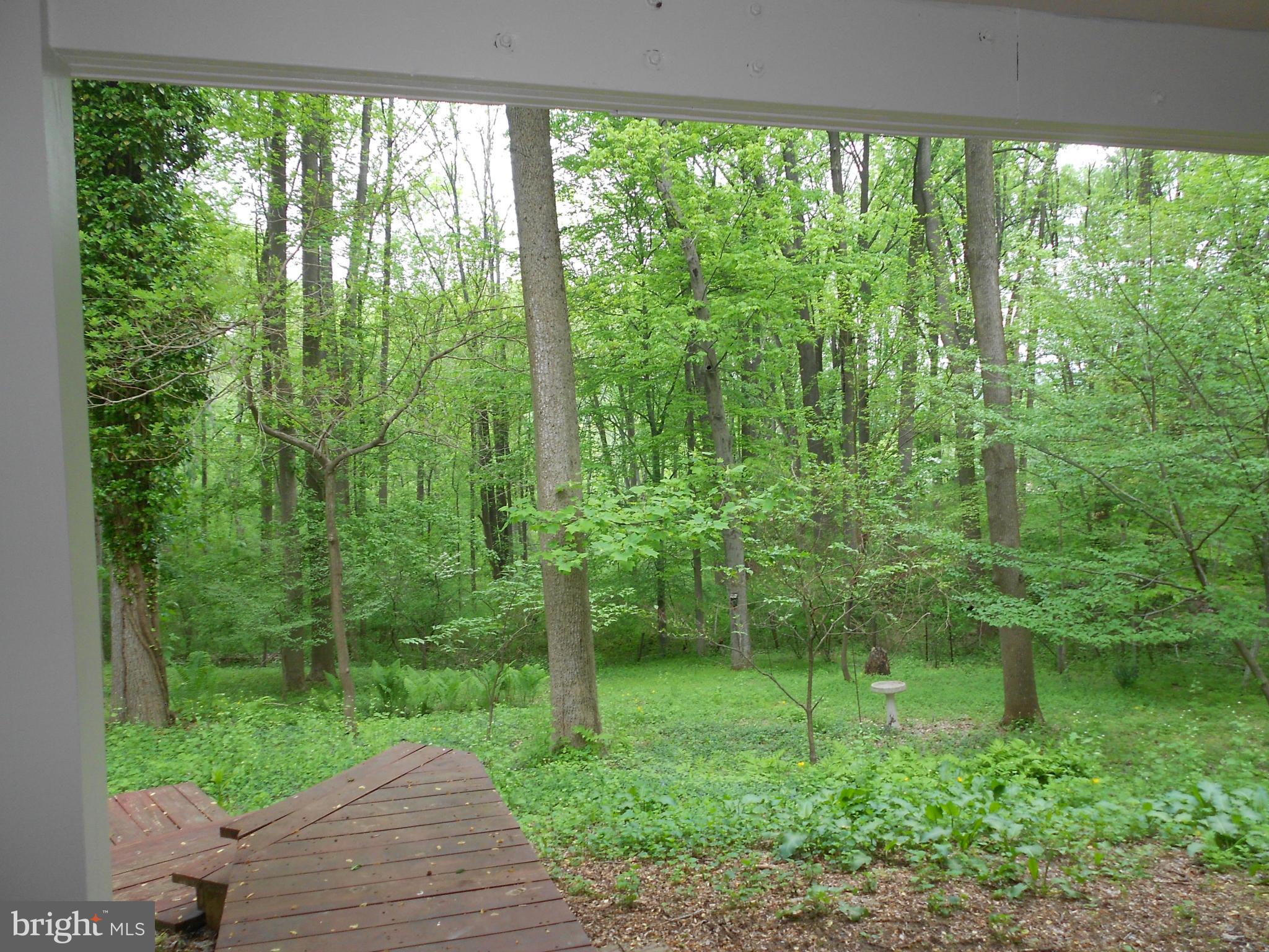 13712 Princess Anne Way Phoenix, MD 21131 - Photo 22 of 23 View from family room