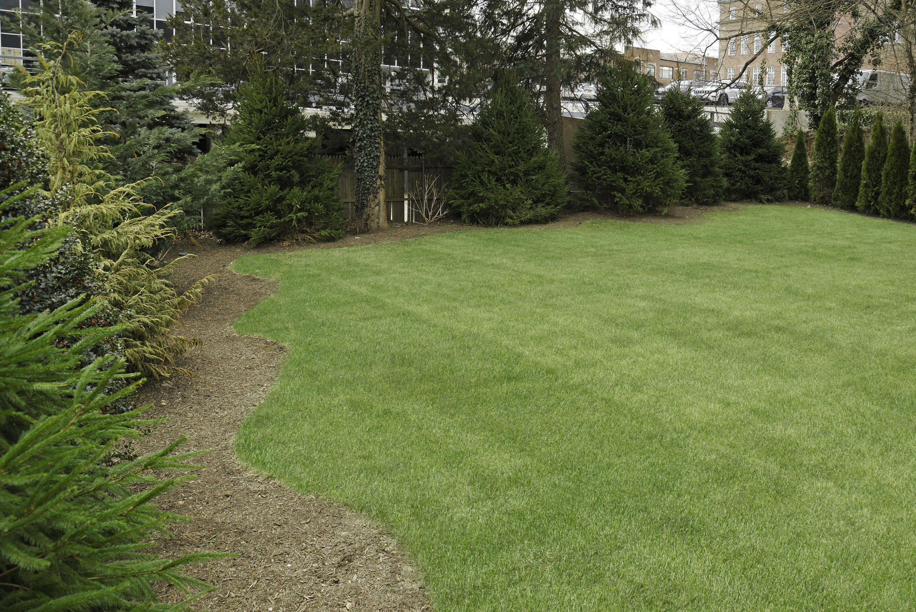 36 Washington Avenue Greenwich, CT 06830 - Photo 32 of 32 a backyard of a house with lots of green space