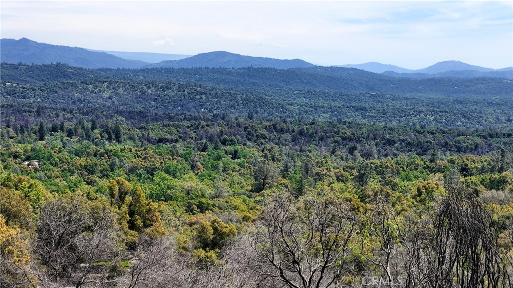 4632 Triangle Road Mariposa, CA 95338 - Photo 8 of 26 a view of a lush green hillside and a houses