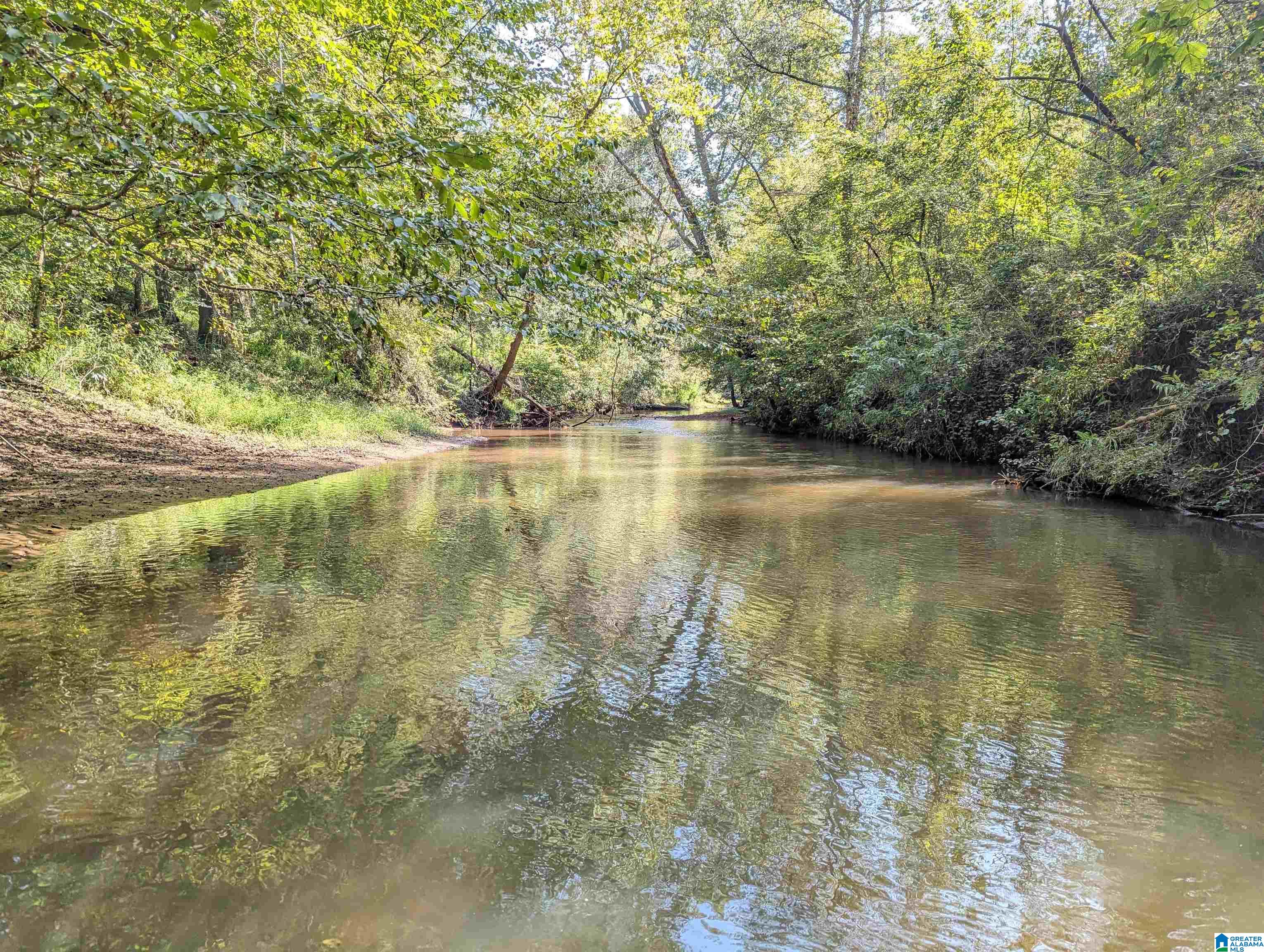 534 County Road, Unit 35 Woodland, AL 36280 - Photo 9 of 22