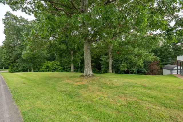 a view of an outdoor space and a yard