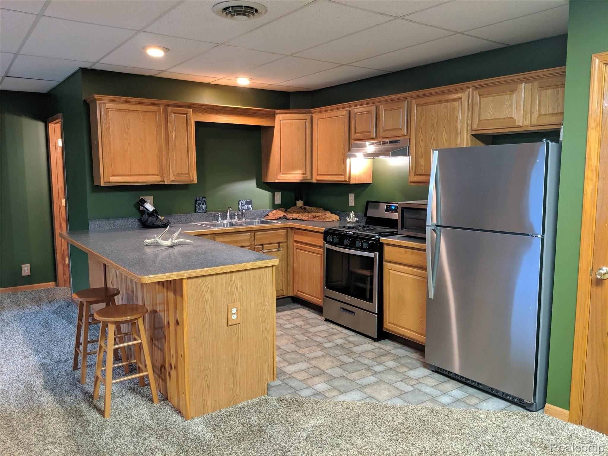 6200 Pingree Road Howell, MI 48843 - Photo 14 of 22 14LowerLevel.jpg