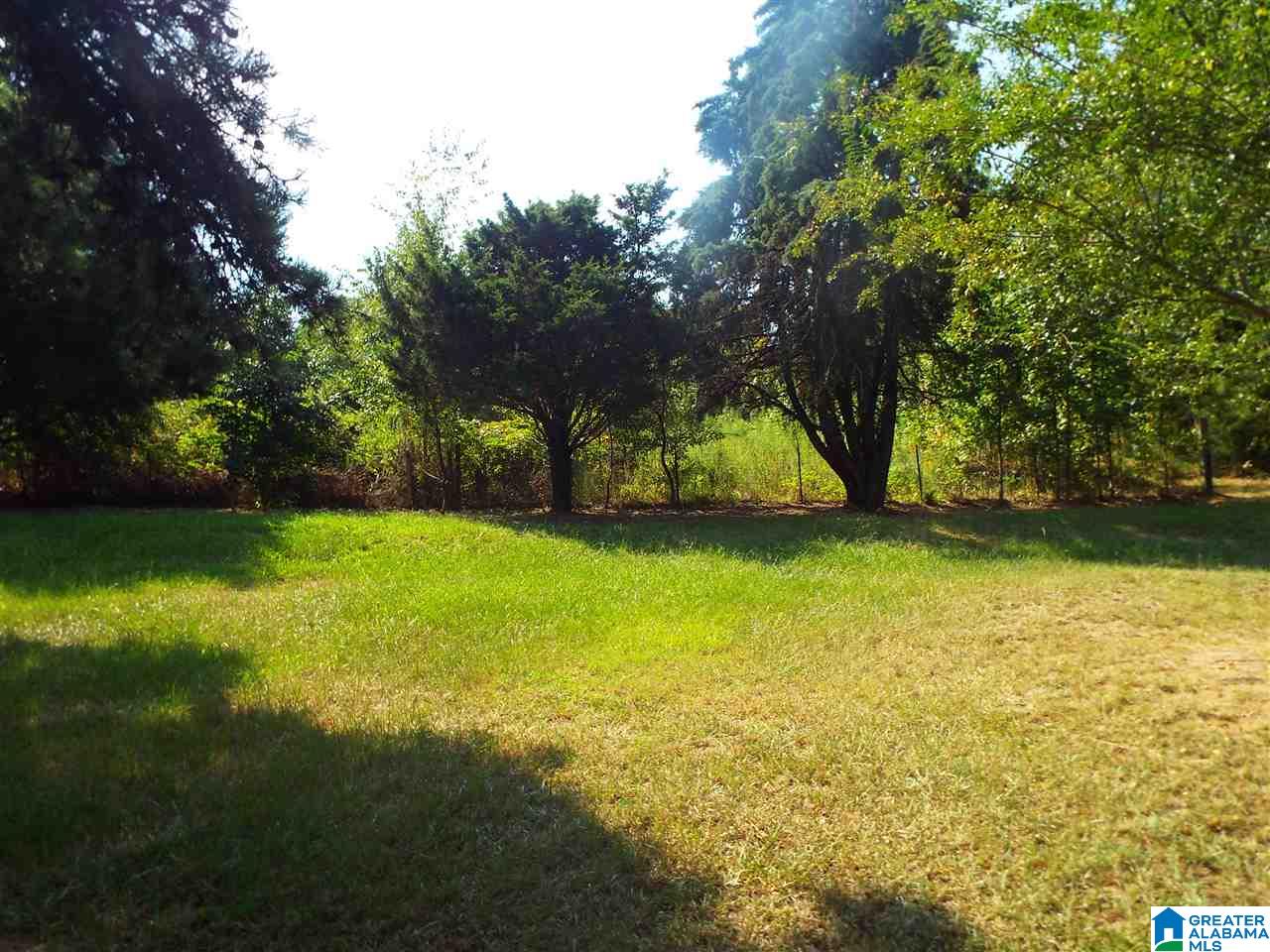 3221 Ebell Road Oneonta, AL 35121 - Photo 7 of 28