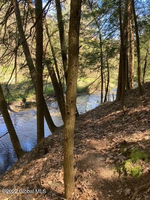 203 Ruhle Road South Malta, NY 12019 - Photo 12 of 25 image11