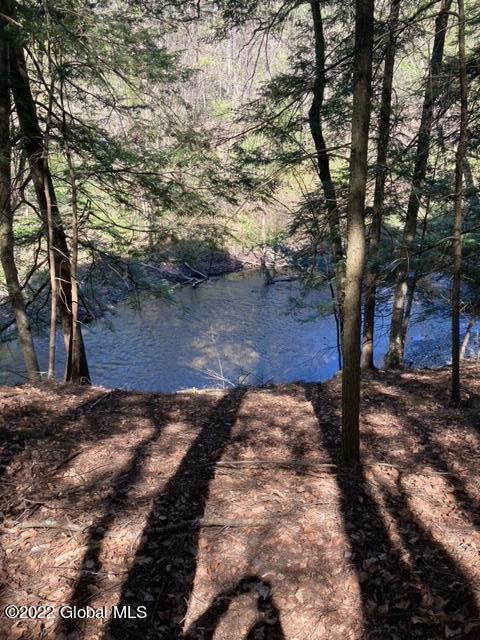 203 Ruhle Road South Malta, NY 12019 - Photo 13 of 25 image12