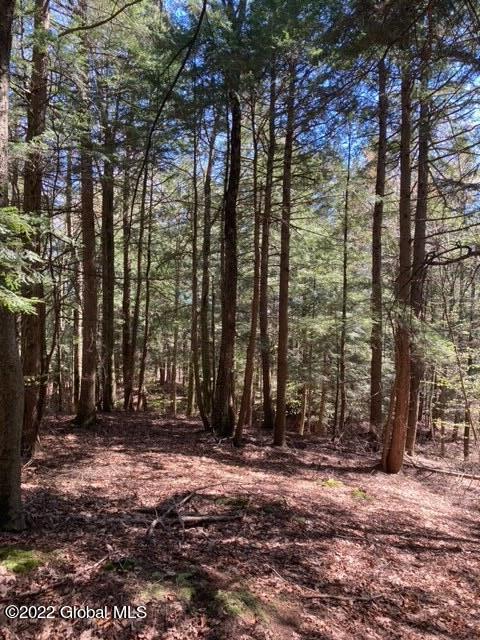 203 Ruhle Road South Malta, NY 12019 - Photo 14 of 25 image13