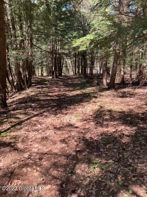 203 Ruhle Road South Malta, NY 12019 - Photo 17 of 25 image16