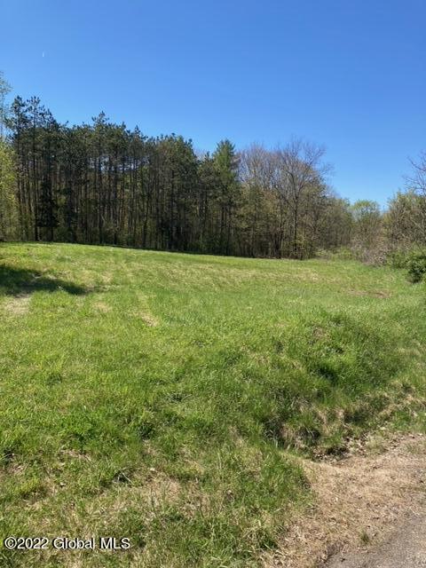 203 Ruhle Road South Malta, NY 12019 - Photo 21 of 25 image21