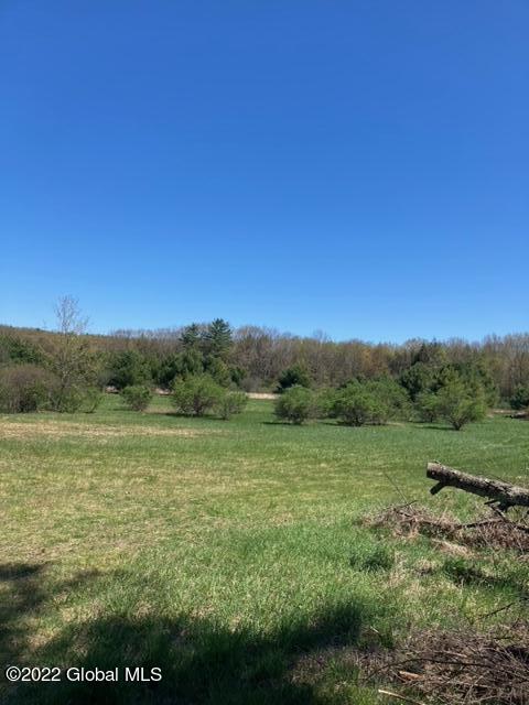 203 Ruhle Road South Malta, NY 12019 - Photo 23 of 25 image23