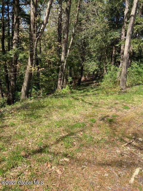 203 Ruhle Road South Malta, NY 12019 - Photo 25 of 25 image25