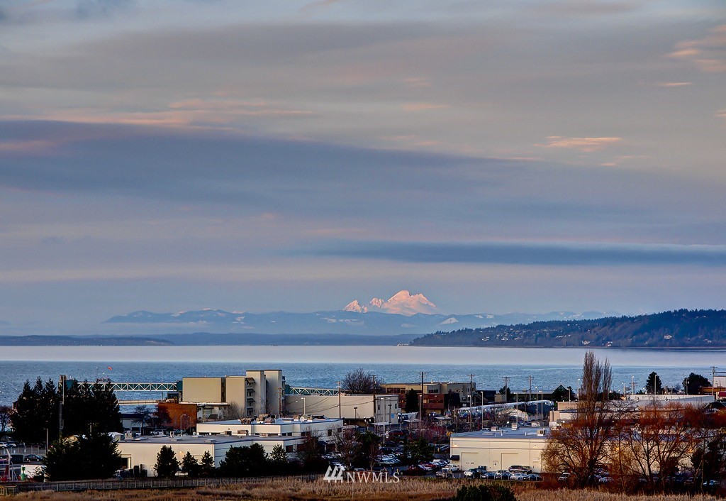 61 Pine Street, Unit 302 Edmonds, WA 98020 - Photo 24 of 25 a view of a city
