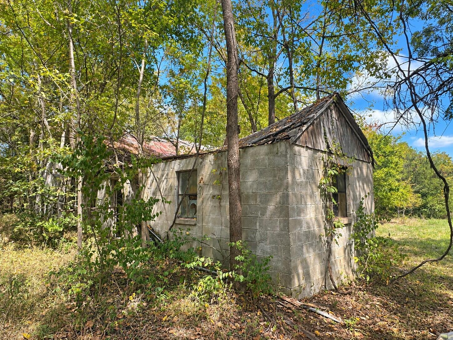 3735 State Rd AA Holts Summit, MO 65043 - Photo 52 of 57 Gallery Image 52