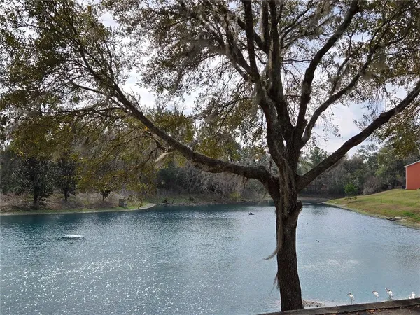 $1,890 | 1601 Northwest 29 Road, Unit 3, Gainesville, FL 32605