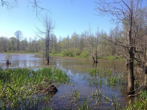 Photo 4
