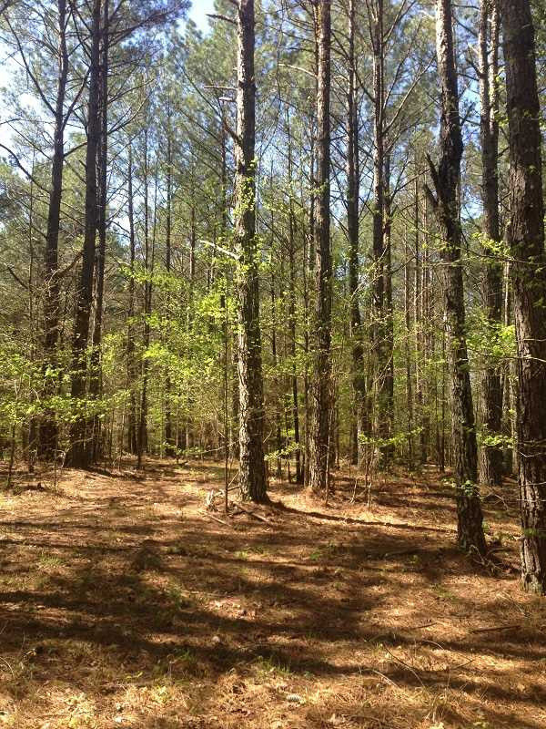 2649 Attala Road Ethel, MS 39067 - Photo 9 of 9 Photo 9