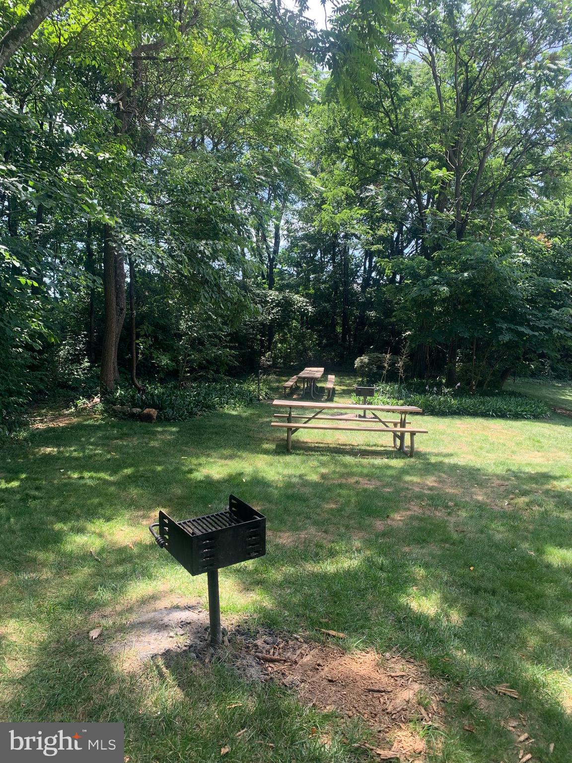 3245 Rio Drive, Unit 307 Falls Church, VA 22041 - Photo 12 of 39 a view of a park with a tree