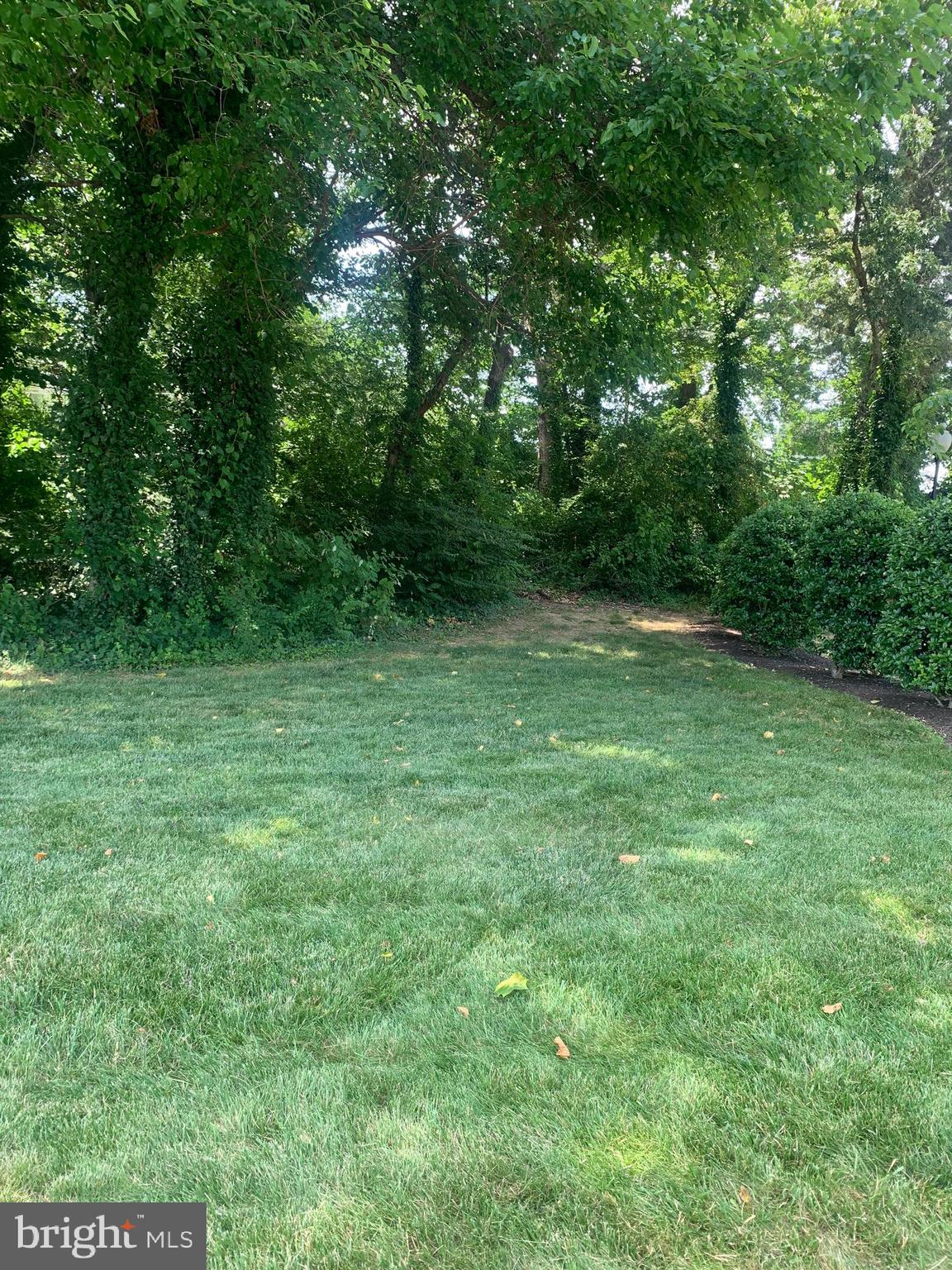 3245 Rio Drive, Unit 307 Falls Church, VA 22041 - Photo 2 of 39 a view of outdoor space with a garden