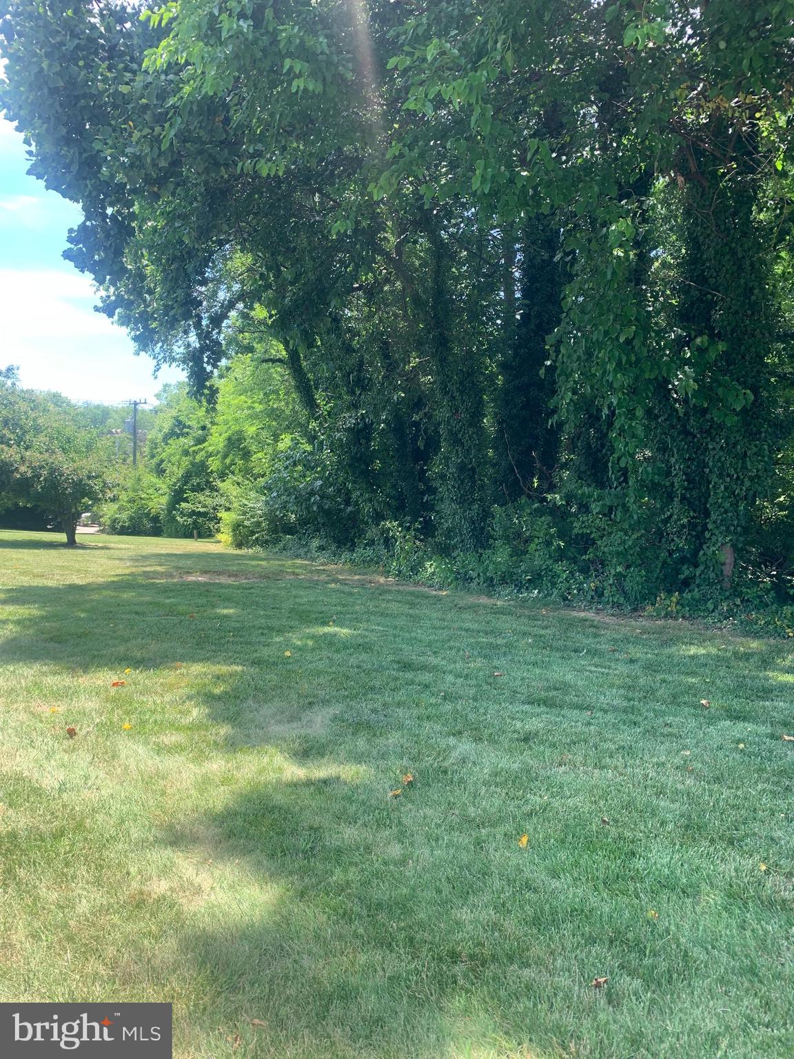 3245 Rio Drive, Unit 307 Falls Church, VA 22041 - Photo 3 of 39 a view of outdoor space with green field and trees all around