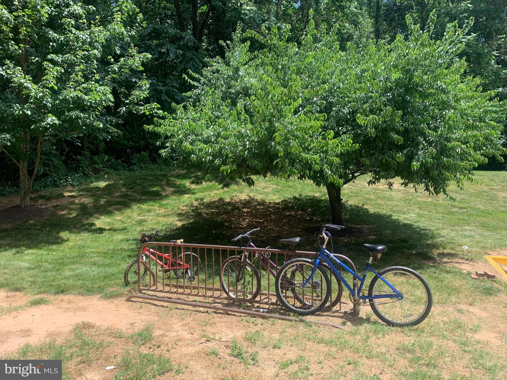 3245 Rio Drive, Unit 307 Falls Church, VA 22041 - Photo 4 of 39 a couple of bicycles parked next to a yard