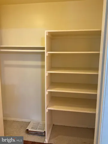 a view of walk in closet with empty racks