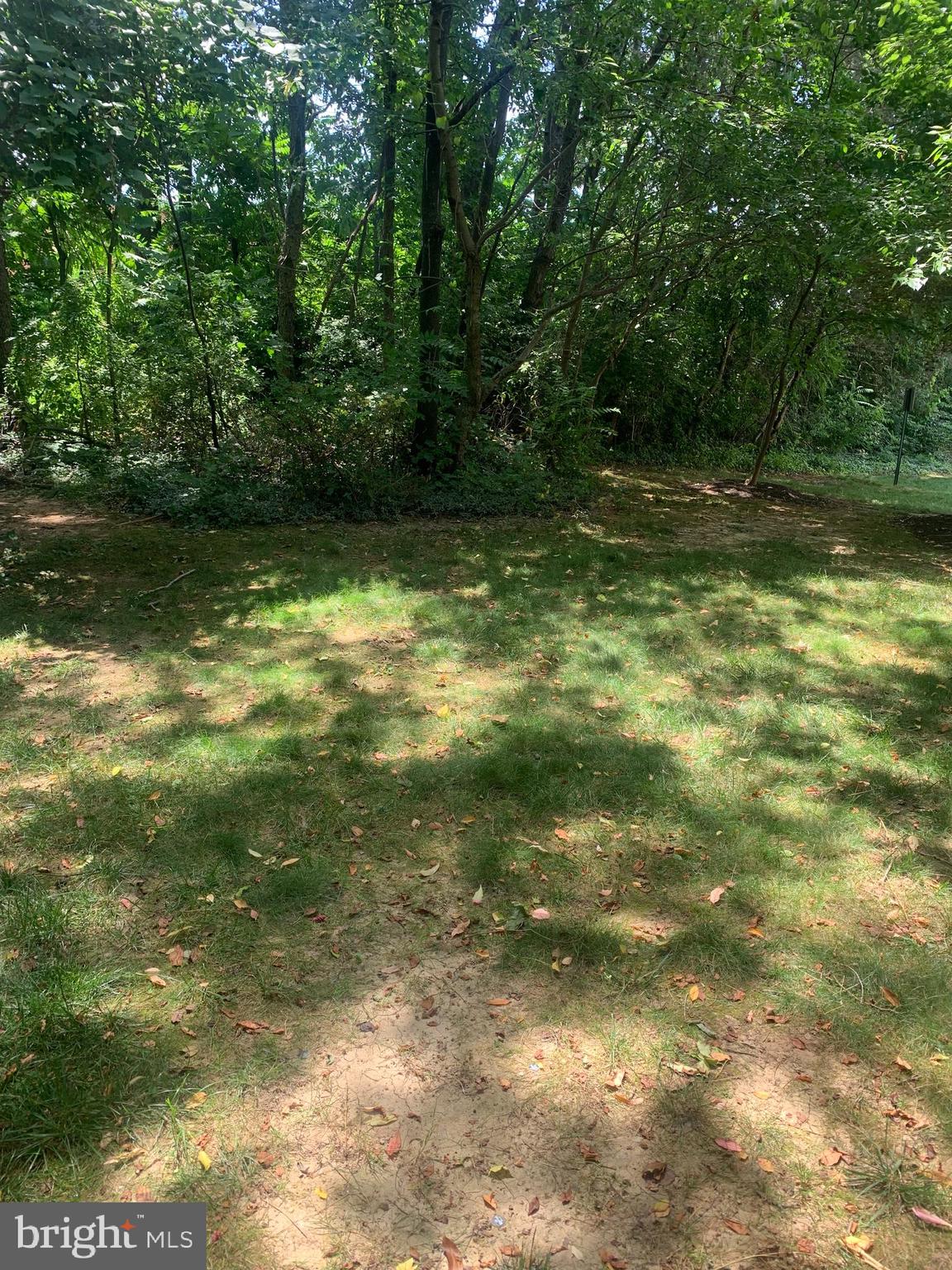 3245 Rio Drive, Unit 307 Falls Church, VA 22041 - Photo 8 of 39 a view of outdoor space and a lake view