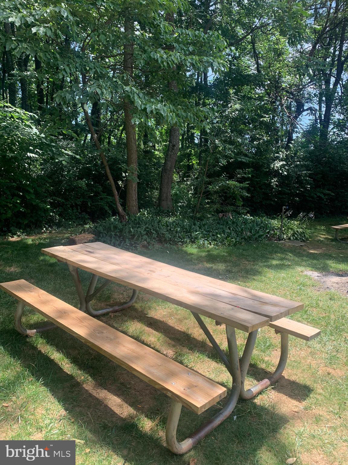 3245 Rio Drive, Unit 307 Falls Church, VA 22041 - Photo 9 of 39 a view of yard with swimming pool and trees in the background