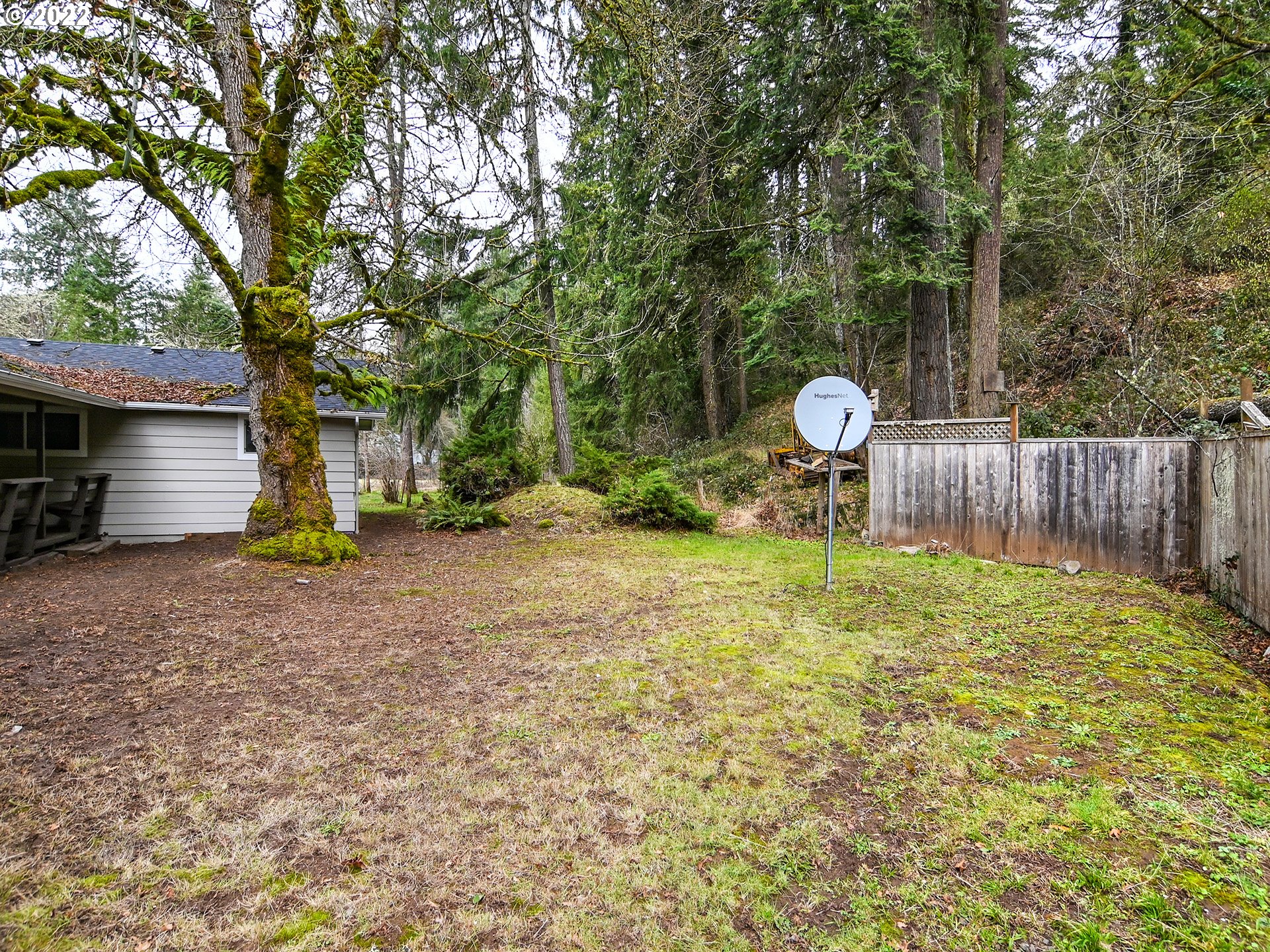 38551 Jasper Lowell Road Fall Creek, OR 97438 - Photo 20 of 32