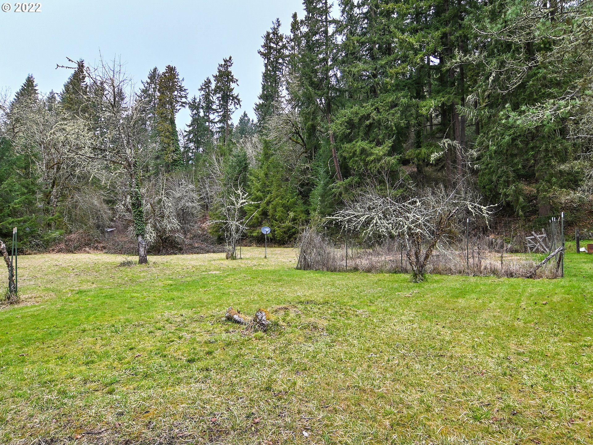 38551 Jasper Lowell Road Fall Creek, OR 97438 - Photo 22 of 32