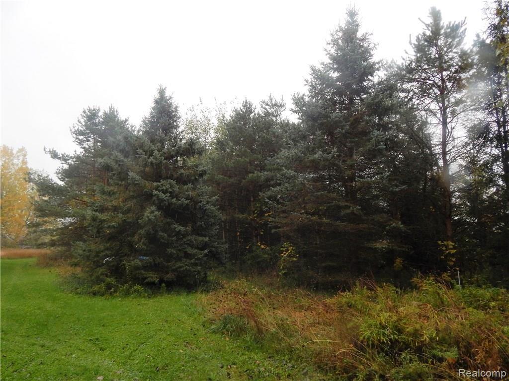 14747 South Colby Road Perry, MI 48872 - Photo 3 of 17