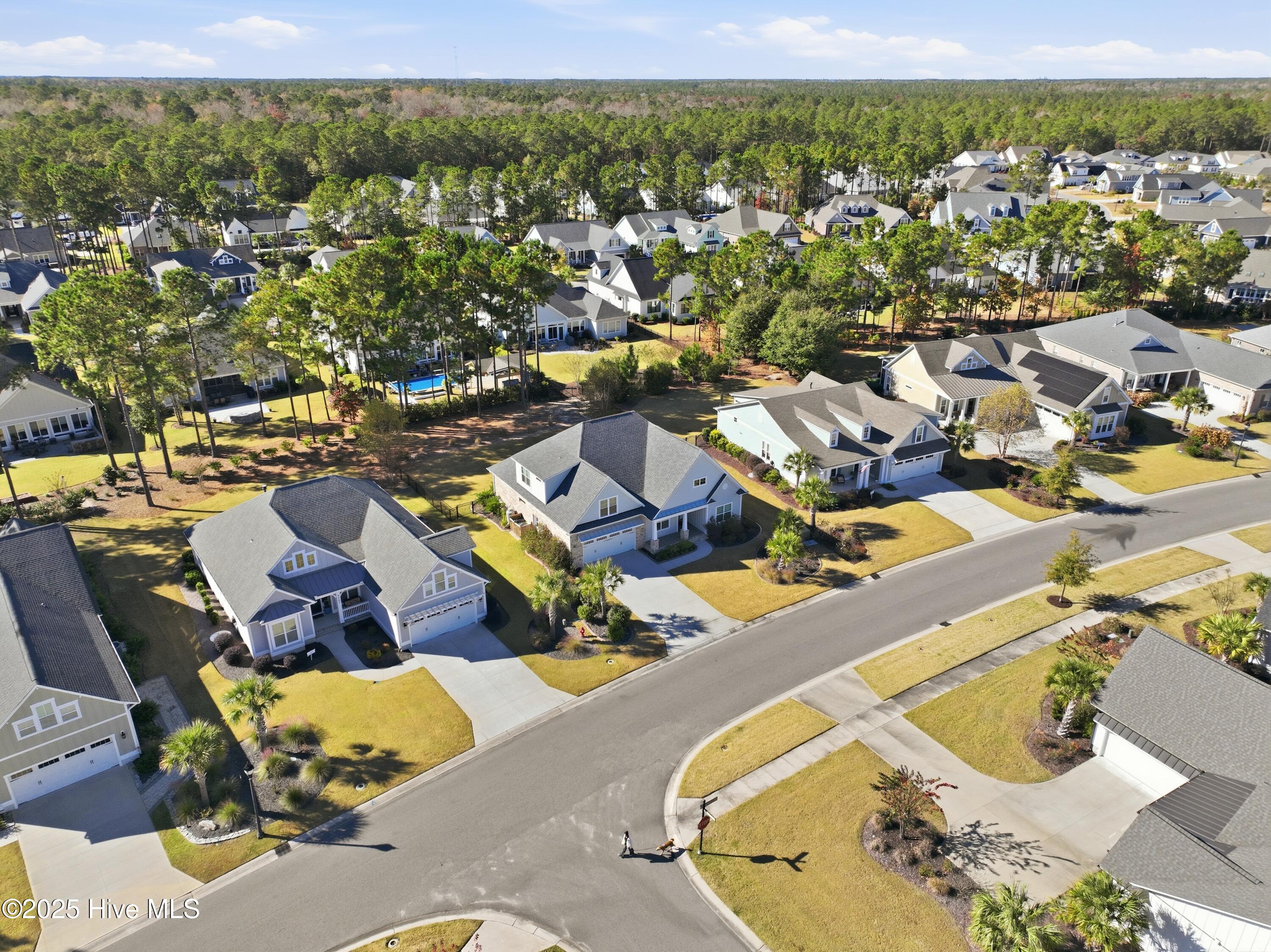 8567 Safflower Way Northeast Leland, NC 28451 - Photo 43 of 55 DJI_0361