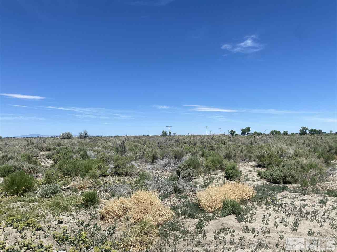 4520 Depp Road Fallon, NV 89406 - Photo 3 of 4 Photo 3