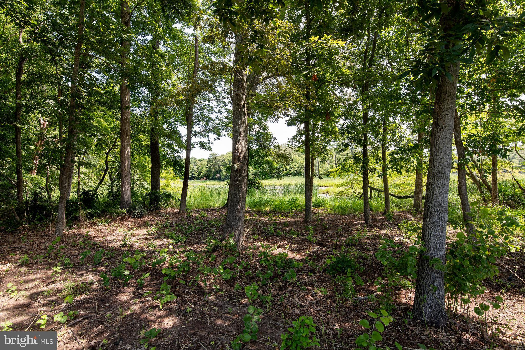 3591 Frazier Neck Road Preston, MD 21655 - Photo 42 of 51 Gallery Image 42