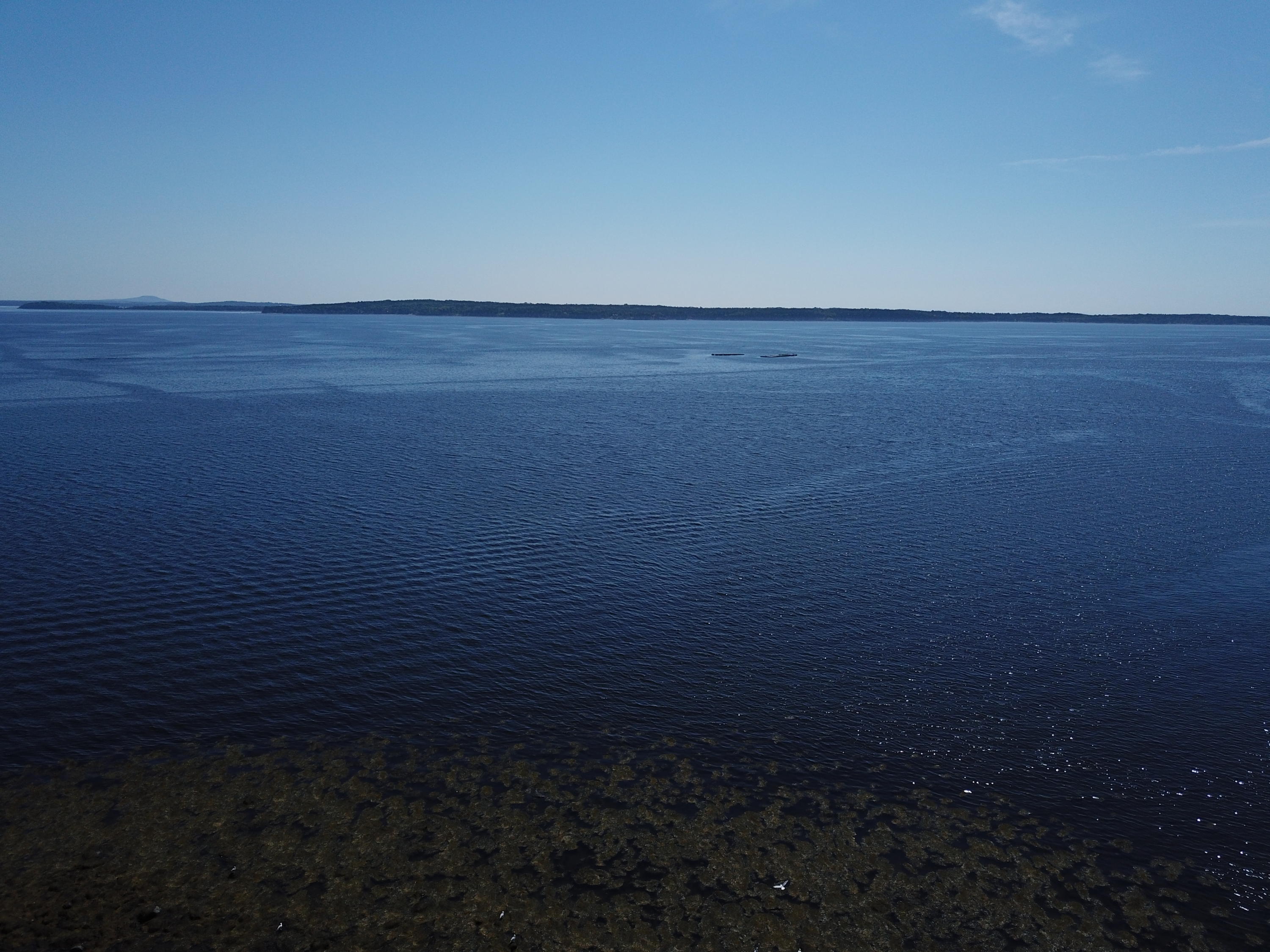 725 Shore Road Northport, ME 04849 - Photo 23 of 47 2019-06-28 11.09.23