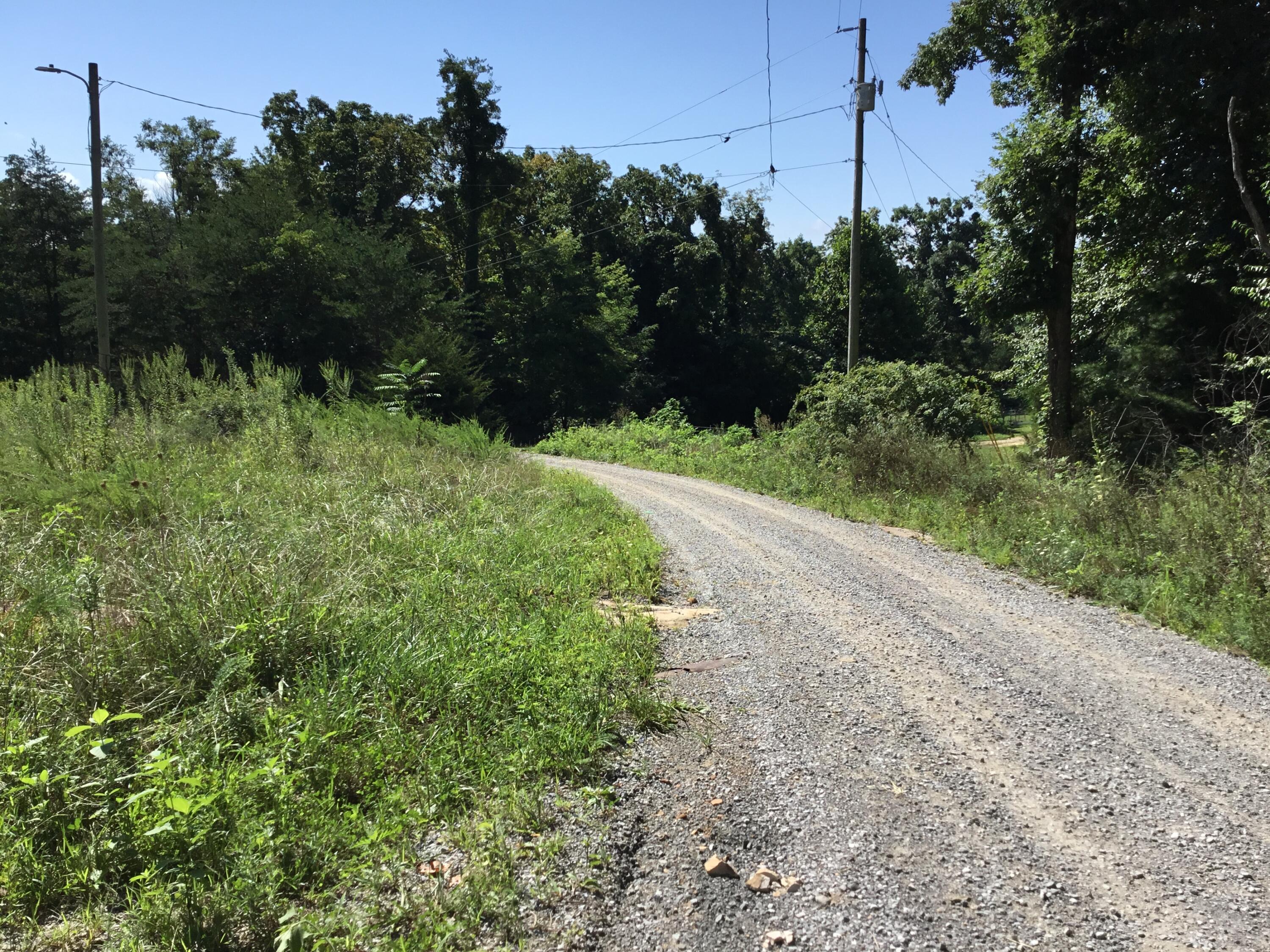 0 Illuminary Firetower Road Spring City, TN 37381 - Photo 2 of 8 IMG_5976